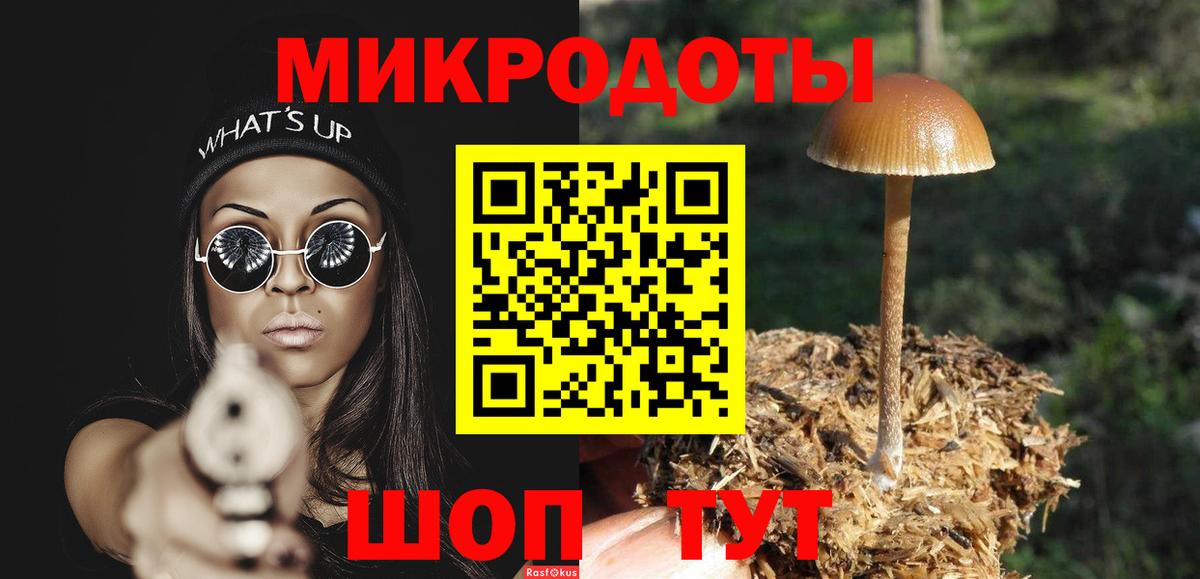 Ставрополь  Галлюциногенные грибы прущие грибы  Вход с VPN 
