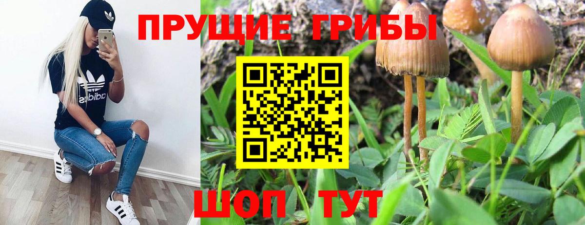 Псилоцибиновые грибы Magic Shrooms Ставрополь